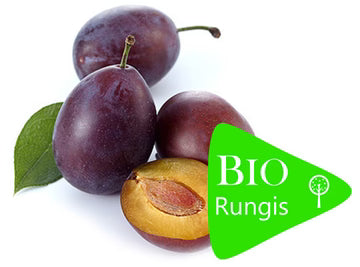 Bio RungisLpd - Quetsche Plum/Bio Rungis - 0.5 Kg