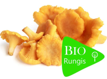 Bio RungisLpd - Org Chanterelle Mushrooms/Bio Rungis - 1 Kg