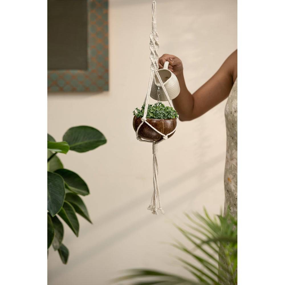 Coconut Hanging Planter - Set Of 1 Shell + 1 Hanger