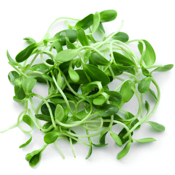 Dana Fresh Micro Green (Methi) - 200 g