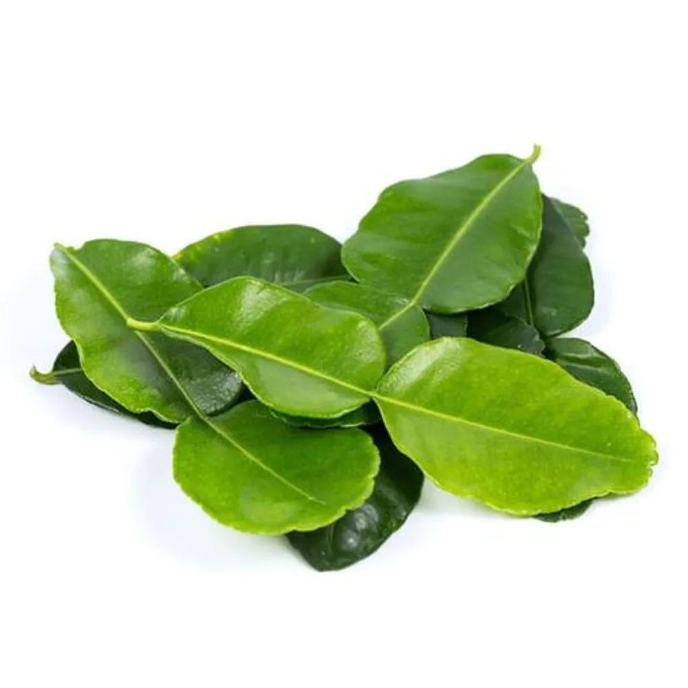 Fresh Lime Leaves (Daun Limau) - 50 g