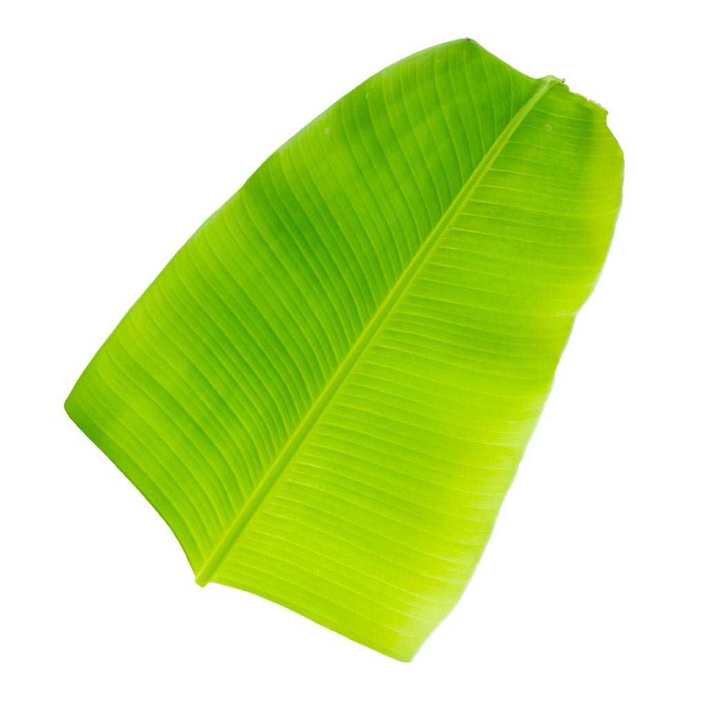 Fresh Banana Leaf For Pooja (Thalai Vazhai Ilai) - 1 Pc