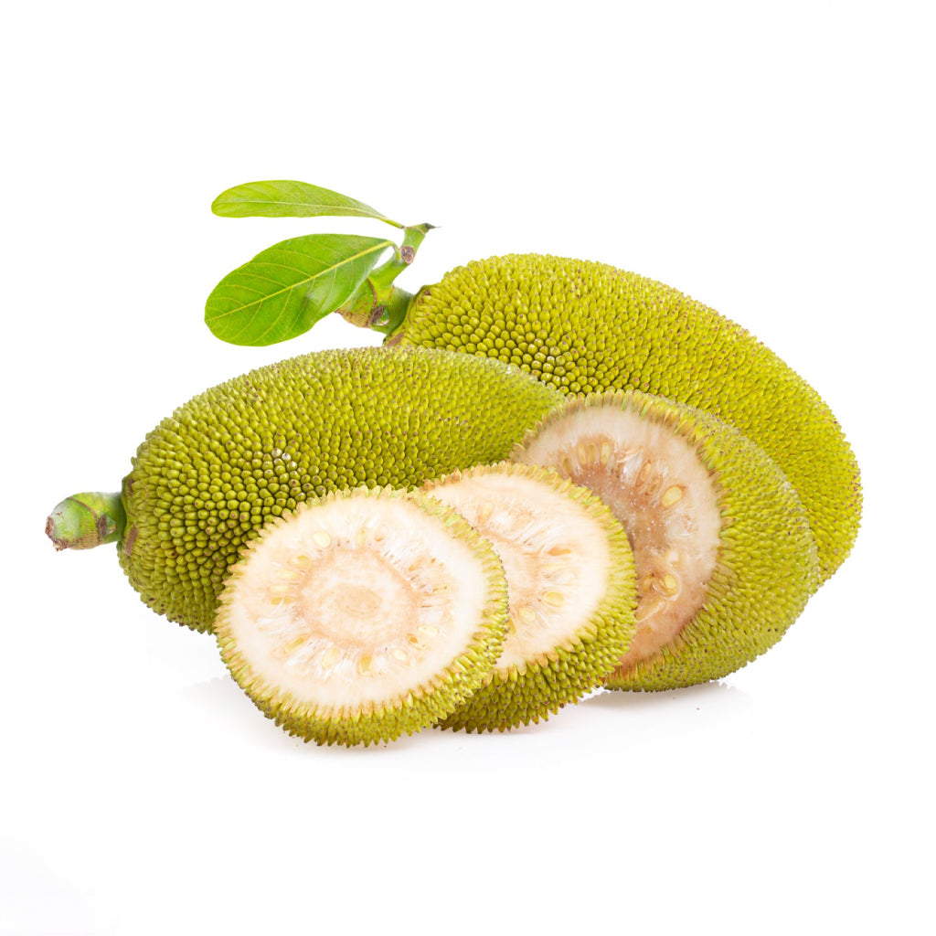 Fresh Green Tender Jackfruit (Idichakka) (India) - 1.2 kg to 1.6 kg