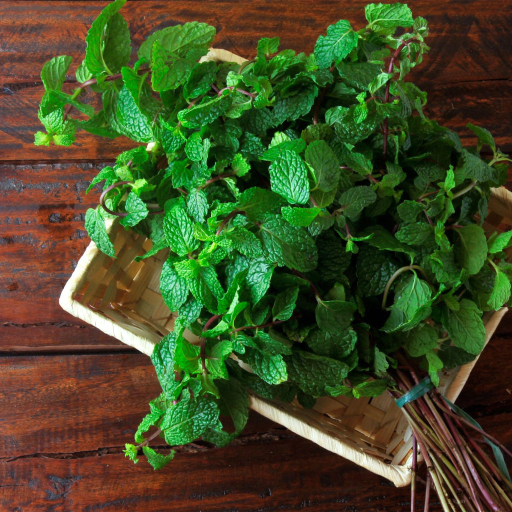 Fresh Mint Leaves - 100 g