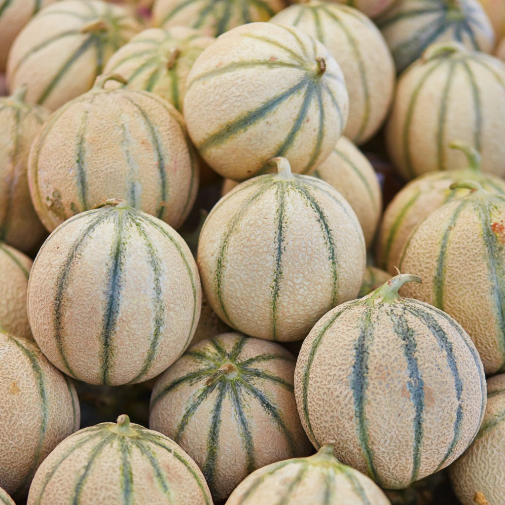 Fresh Rock Melon (Whole)  Australia - 1 Pc