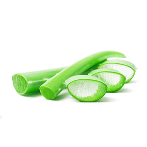 Fresh Whole Aloe Vera Stick
