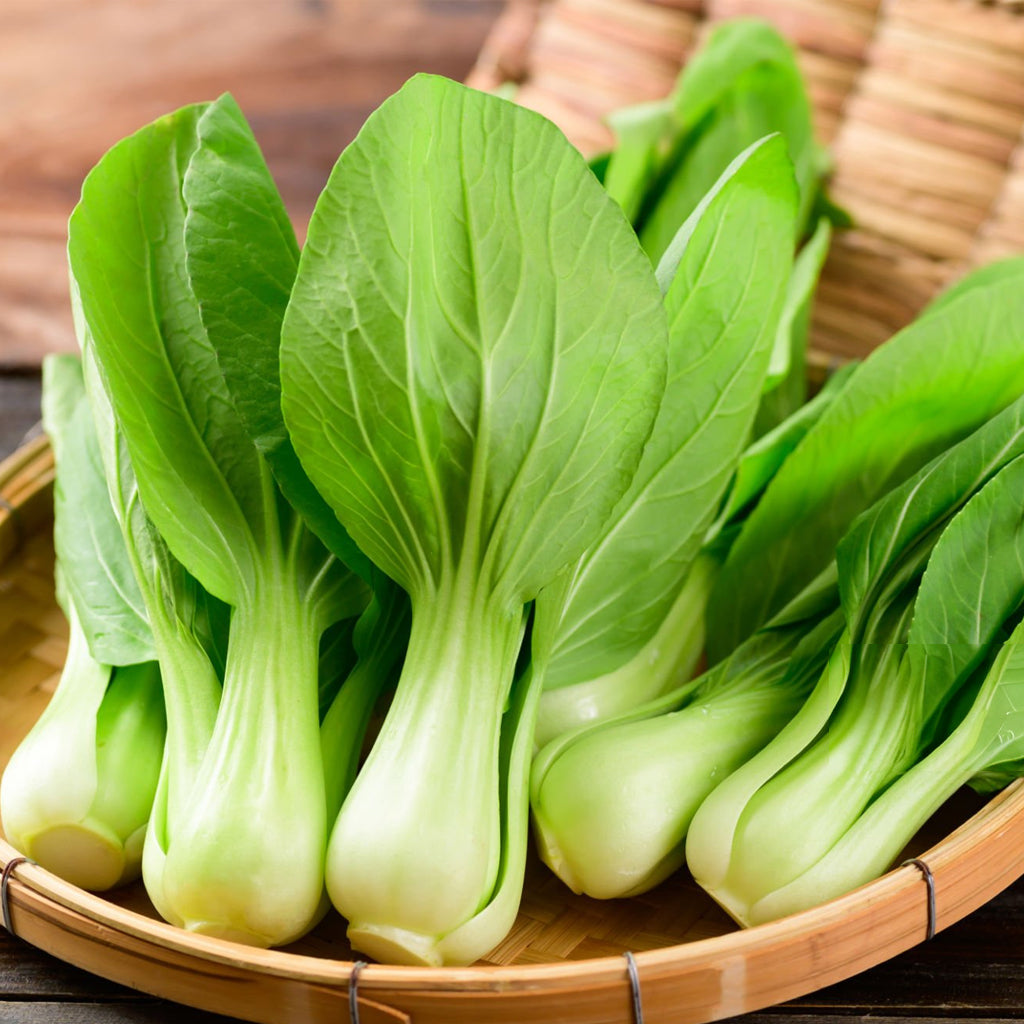 Fresh Xiao Bai Cai Leaves(Pak Choy) - 250 g
