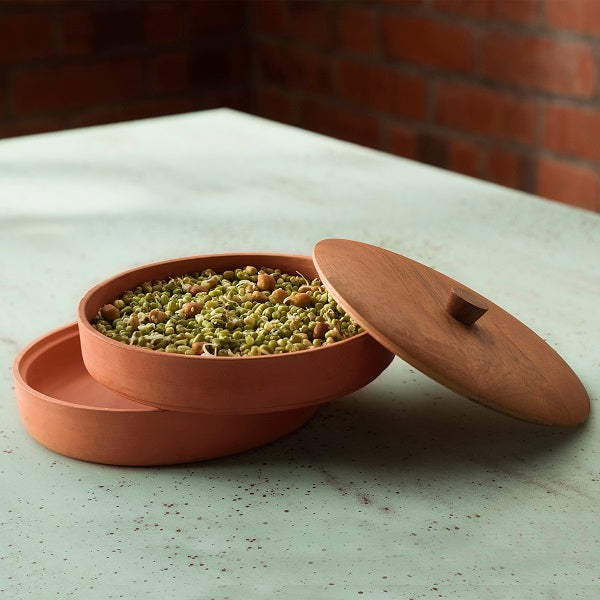 Ellementry Terracotta Sprouter With Wooden Lid For Kitchen/Gifting Purpose(TCKEA0934) - 1 Pc