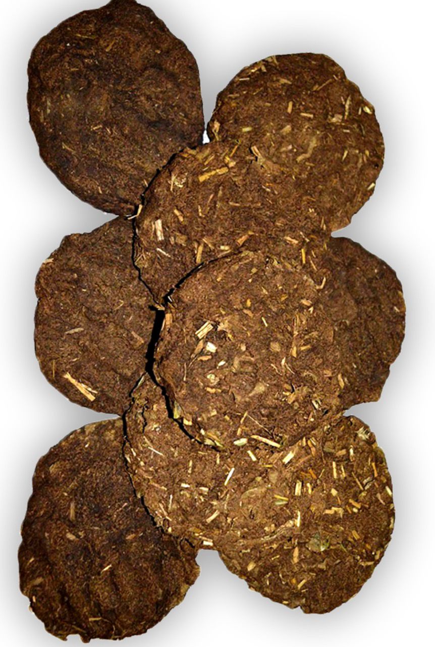 Traditional Desi Cow Dung Cake/Varati - 1 Pc