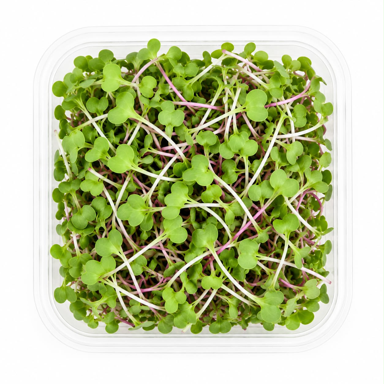Dana Fresh Micro Green (Raddish) - 200 g