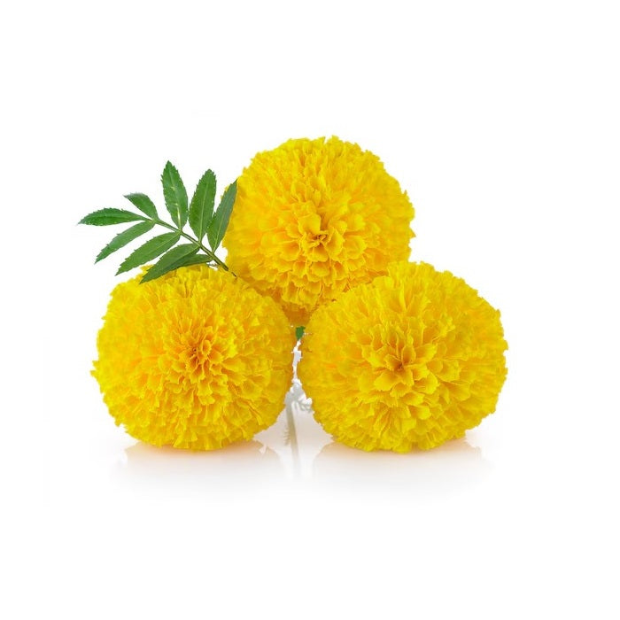 Fresh Yellow Marigold Pooja Flower - 200 g