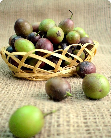 Fresh Bengal currant (Kalakai) - 100 g(Pre-Order)