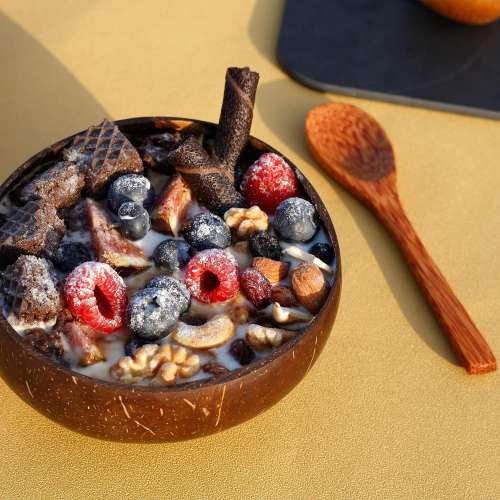 Coconut Bowl With Cutlery - 1 Bowl + 1 Spoon (500 ml)