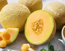 Fresh Musk Melon - 1 PC
