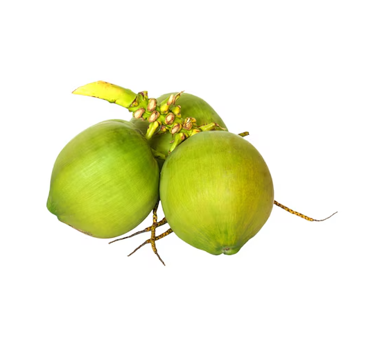 Green Fresh Tender Coconut - 3 Pcs