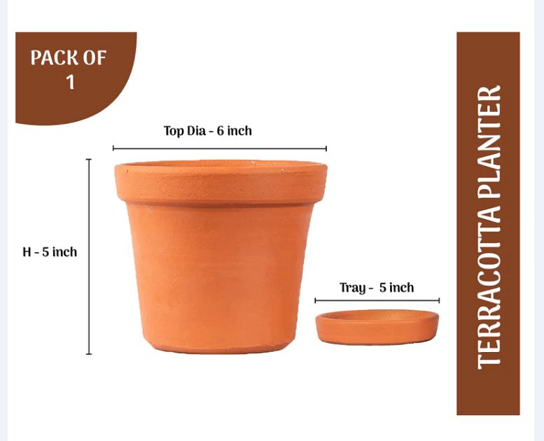 Terracotta Plant Container Brown - 6 inch
