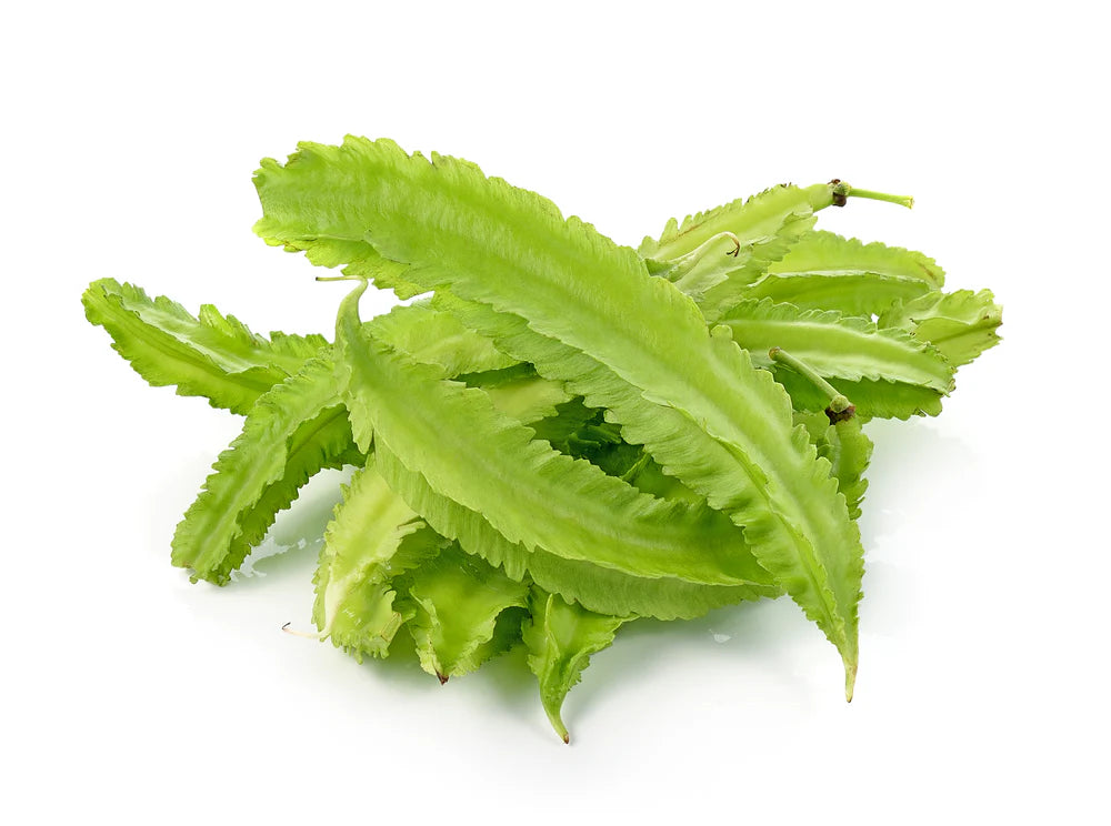 Fresh Winged Beans - 250 G