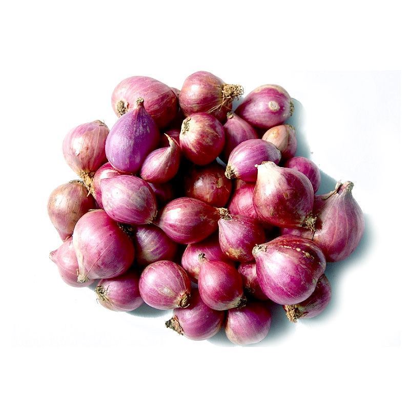 Fresh Small Onions (Shallot)