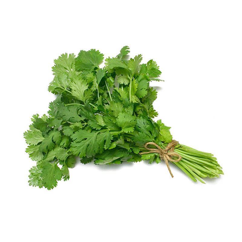 Fresh Coriander Leaves