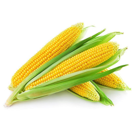 Fresh Sweet Corns