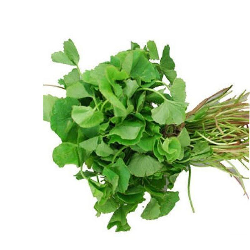 Fresh Brahmi Leaves (Vallarai/Walalak)
