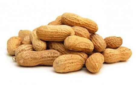 Fresh Groundnut (India)