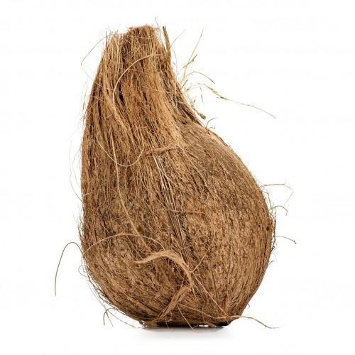 Fresh Whole Coconut (India) (No Exchange or Refund for this Product)