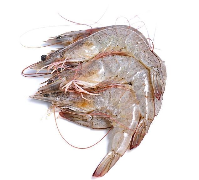 Fresh Prawns (NO EXCHANGE & NO RETURN For This Item)