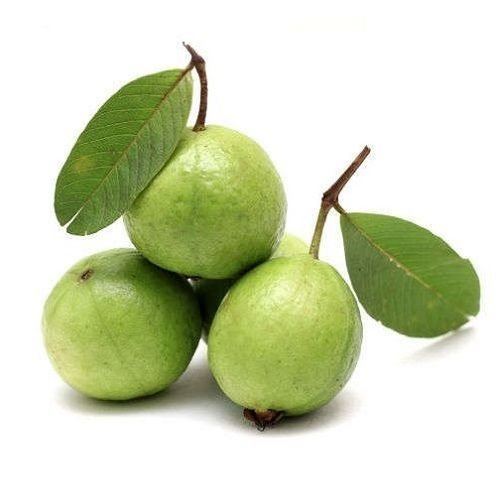 Fresh Guava (India)