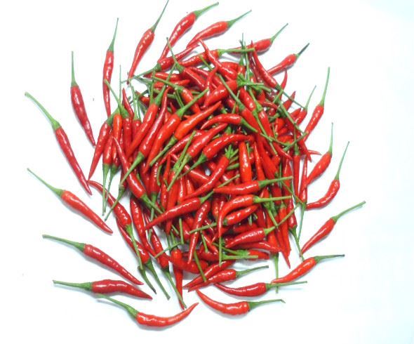 Fresh Red Chilli Padi (Thailand)