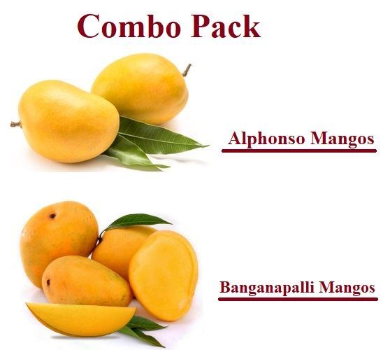 Combo ~ Fresh Banganapalli & Alphonso Mangoes India (No Exchange or Refund for this item)