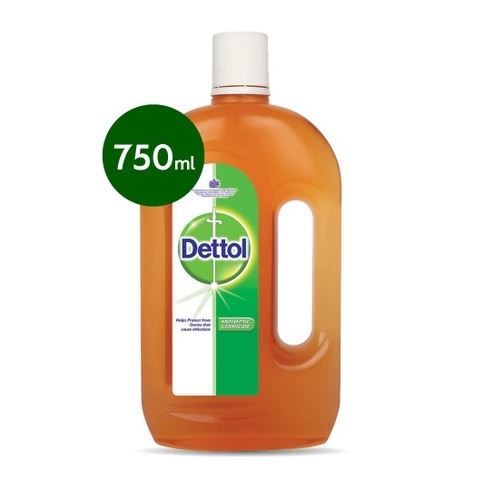 Dettol Antiseptic Germicide Liquid