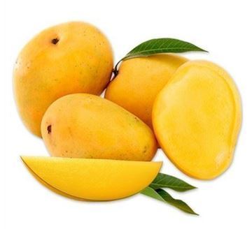 Fresh Banganapalli Mangoes India (No Exchange or Refund for this item)