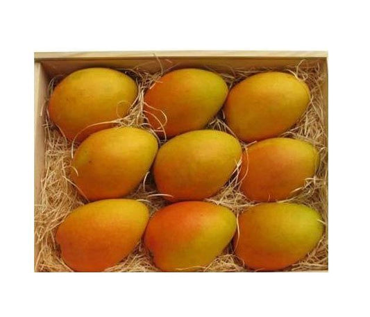 Fresh Banganapalli Mangoes India (No Exchange or Refund for this item)