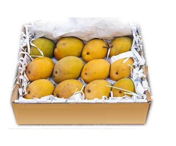 Fresh Pairi Mangoes India  ~ (No Exchange or Refund for this item)