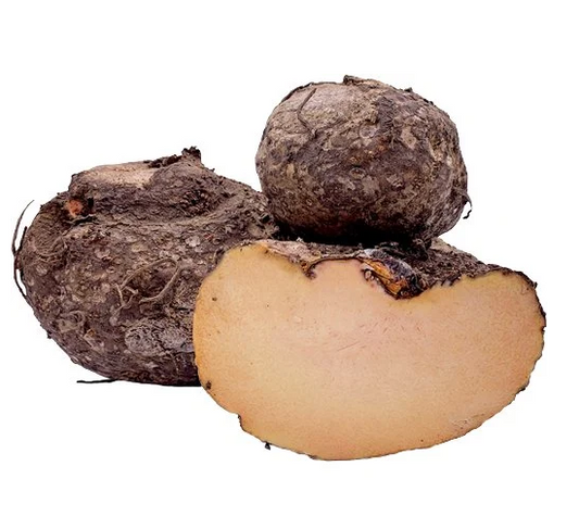 Fresh Elephant Foot Yam India