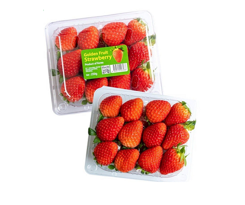 Fresh Strawberries  (KOREA)