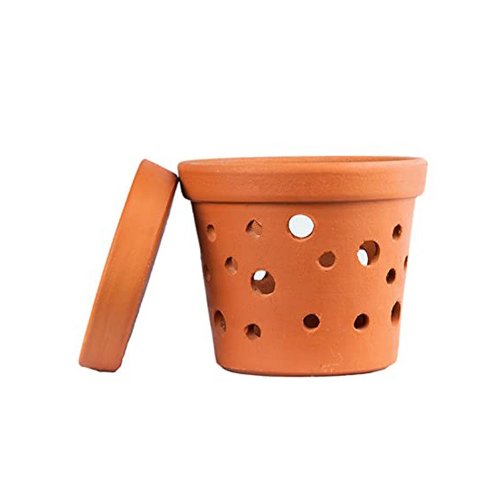Terracotta Orchid Pot