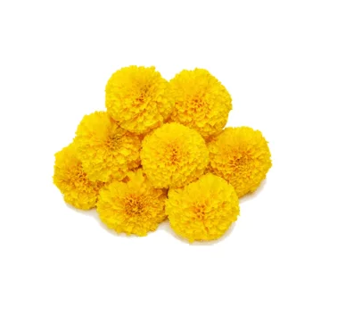Fresh Yellow Marigold Pooja Flower
