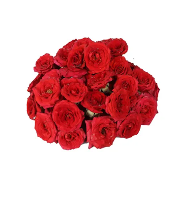 Fresh Red Rose Pooja Flower 