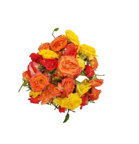 Fresh Mix Rose Pooja Flower 