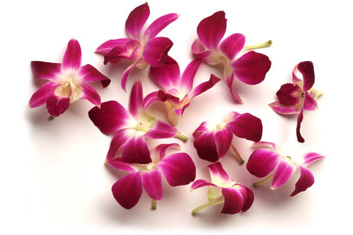 Fresh Orchid Loose Pooja Flowers